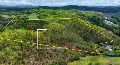 Timbered Hunting Acreage