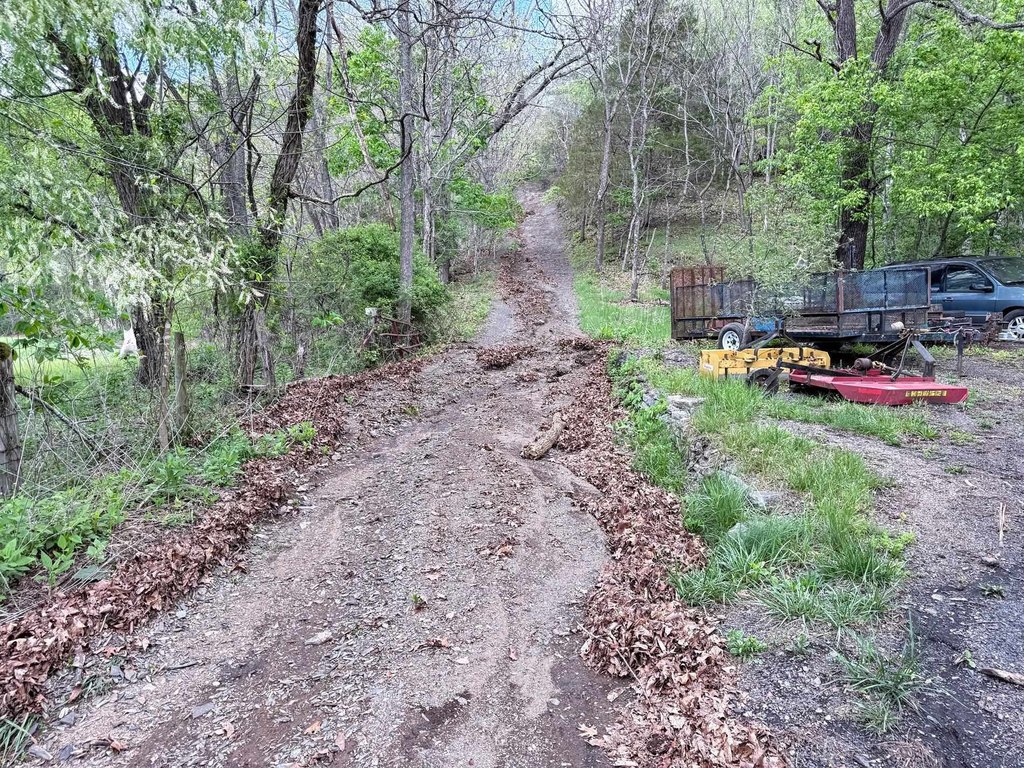 Picture 5