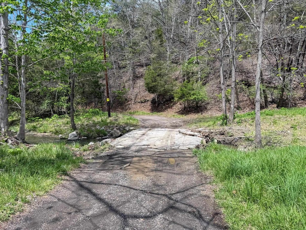 Picture 4