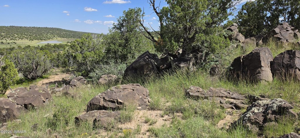 Picture 24