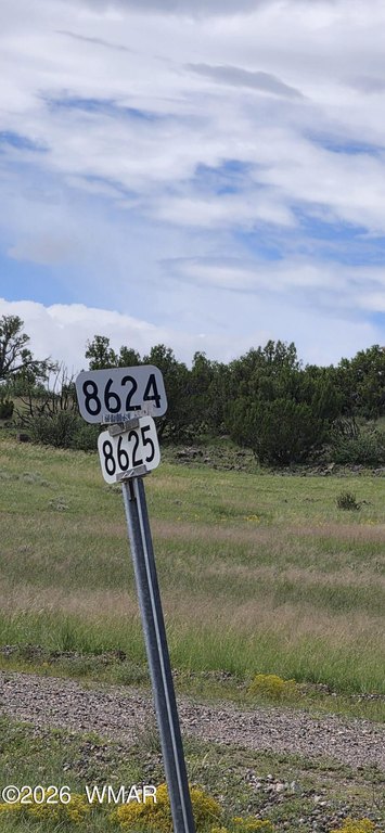 Picture 43