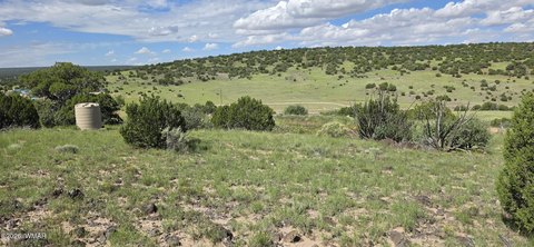 Land, Concho, AZ