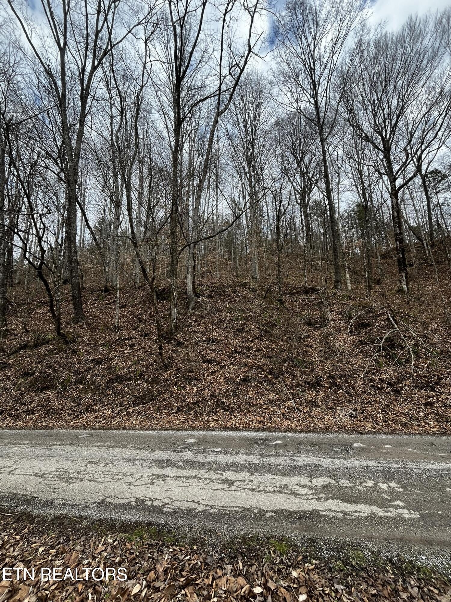 2-Acre Parcel in Oneida, TN