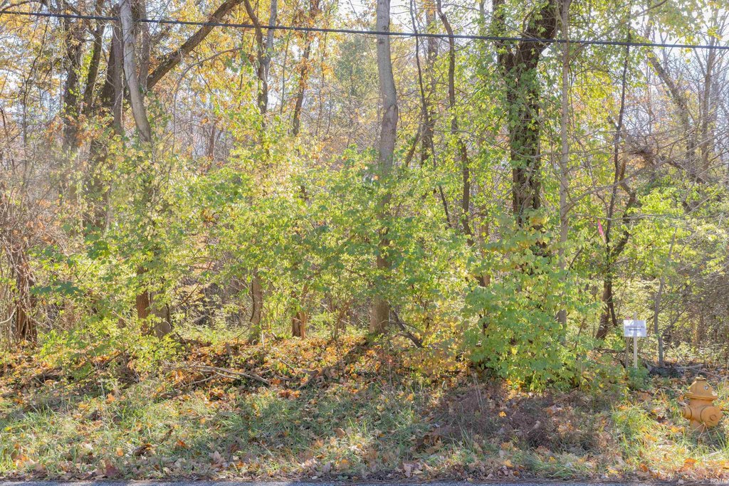 Picture 11