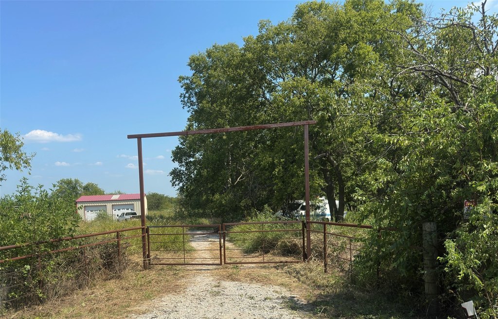 Picture 4