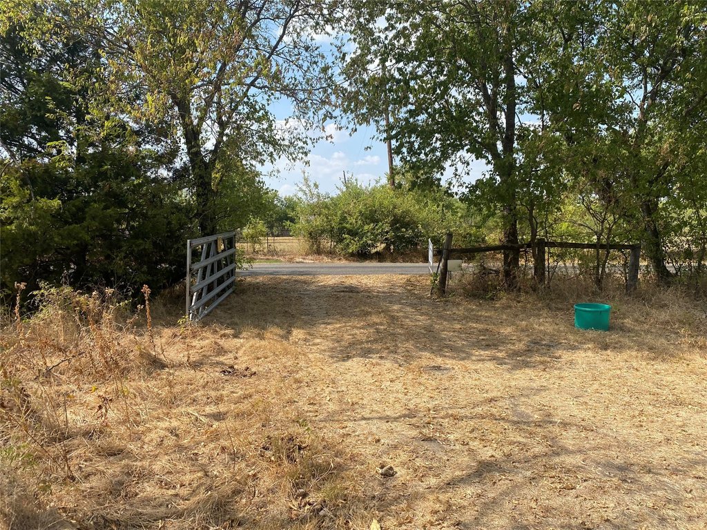 Picture 8