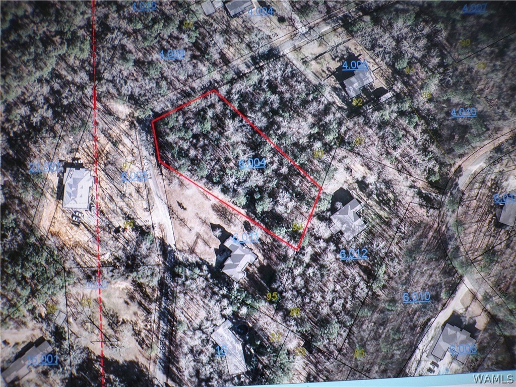Picture 5