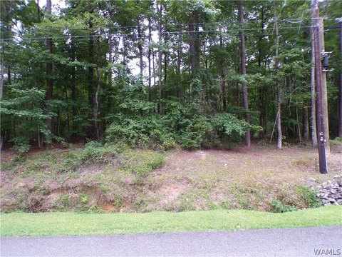 LAND - Fayette, AL