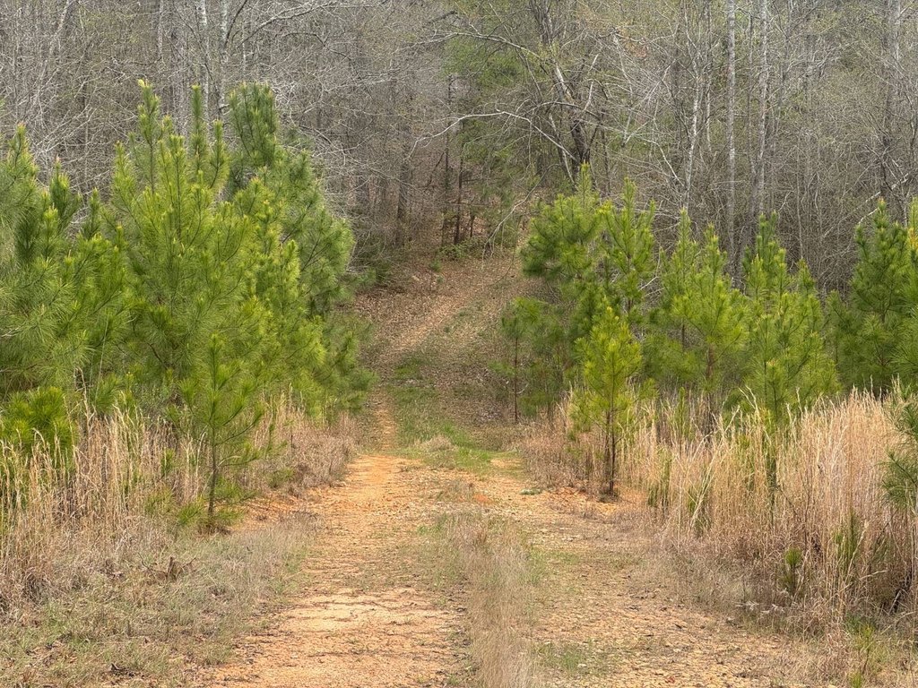 Picture 19