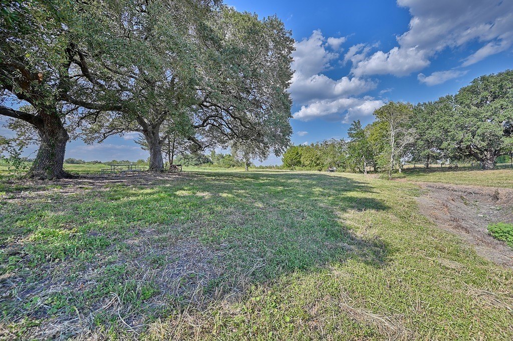 Picture 20