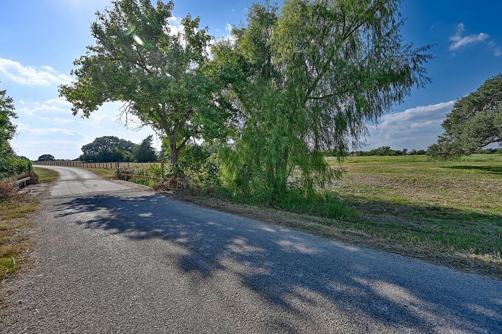 Picture 24