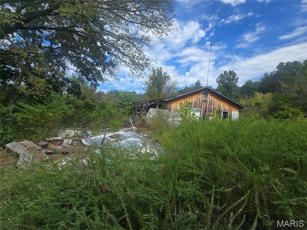 Picture 13