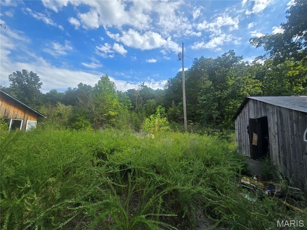 Picture 12