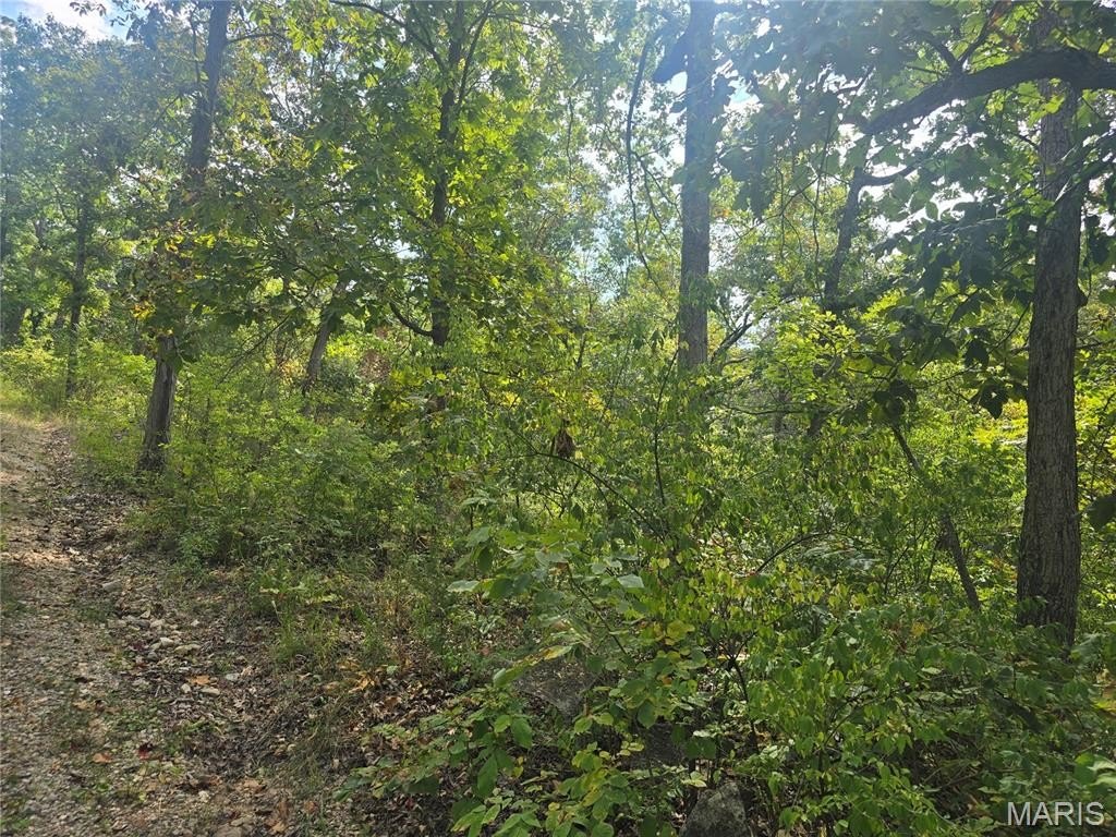 Picture 6