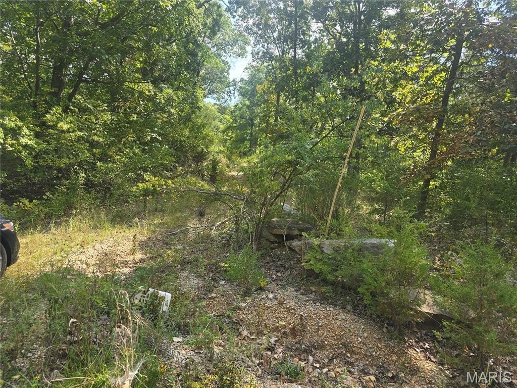 Picture 2