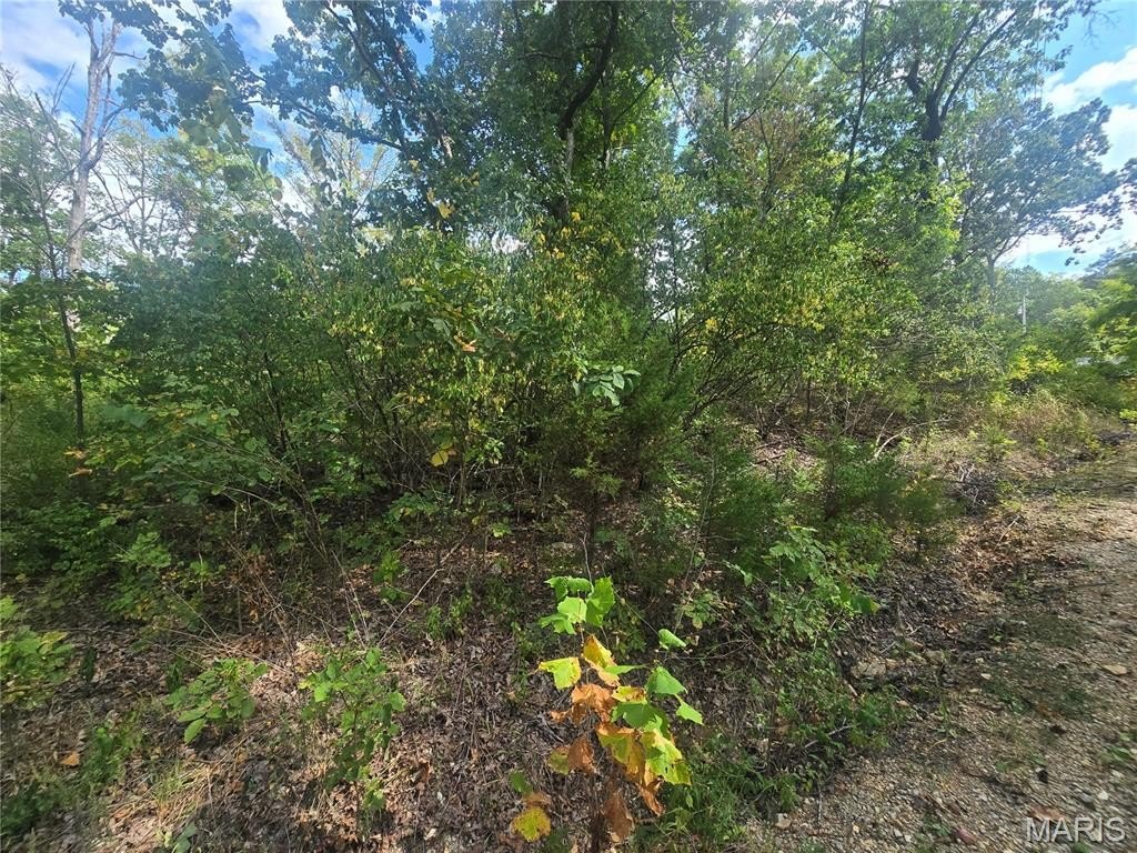 Picture 7