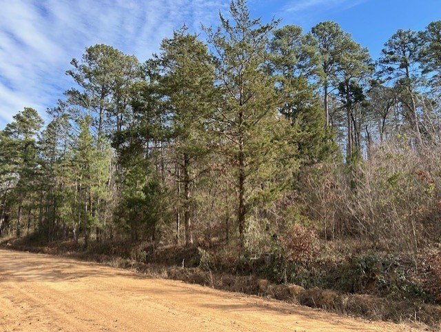 Danville, AR Land For Sale