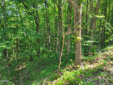 LAND - Sevierville, TN