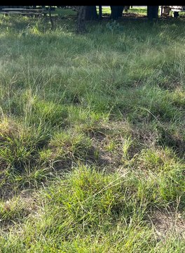 Lake Brownwood RV Lot
