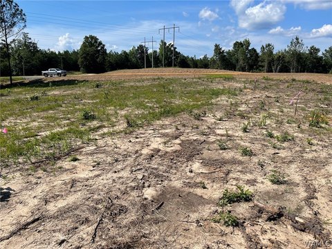 LAND - Tuscaloosa, AL