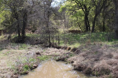 Recreational Ranch Land with Creek