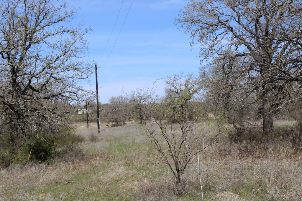 Picture 5