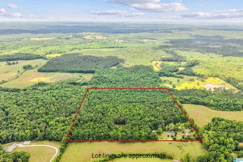 Unrestricted Acreage in Lawley, Alabama