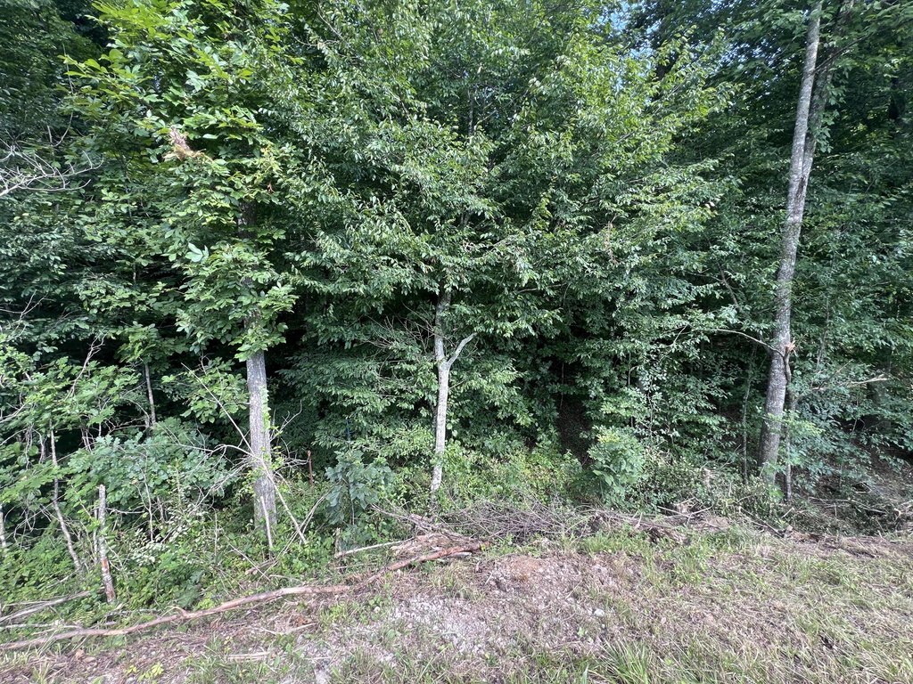 Picture 4