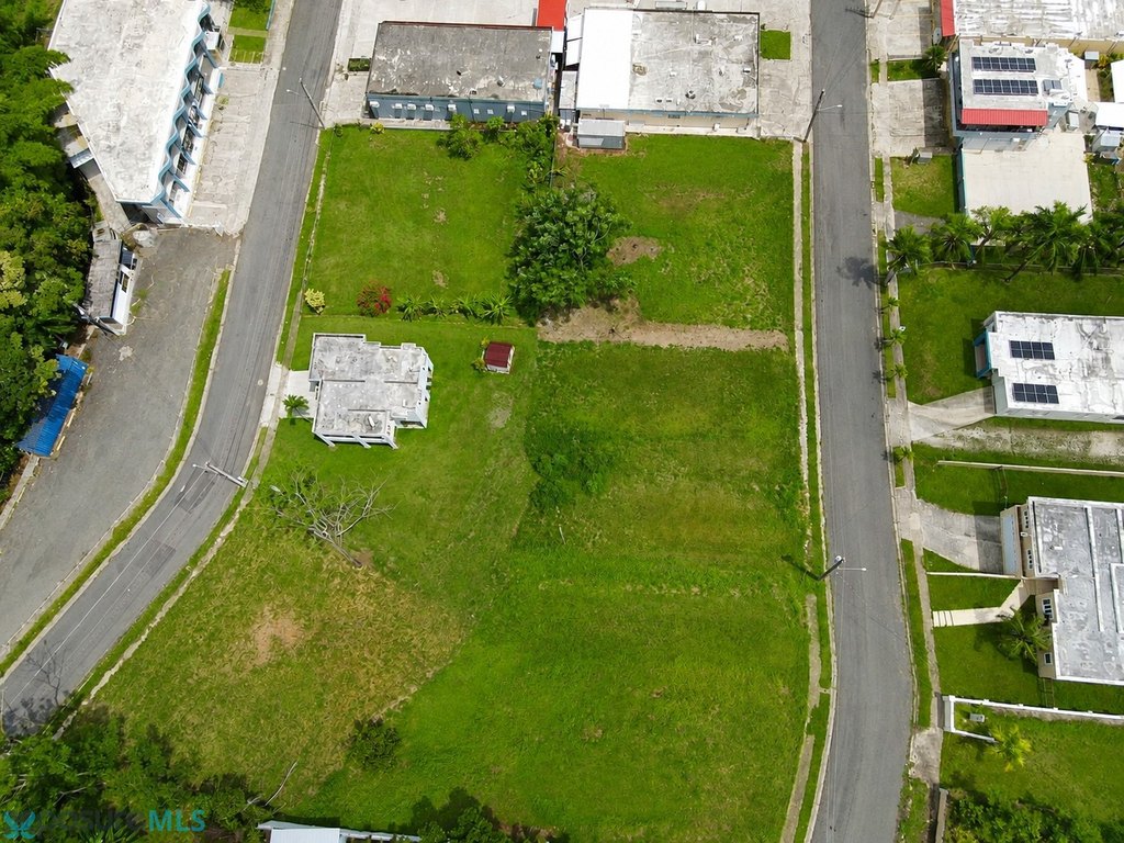 Picture 6