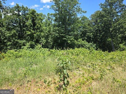 Scenic 5-Acre Tract in Jasper