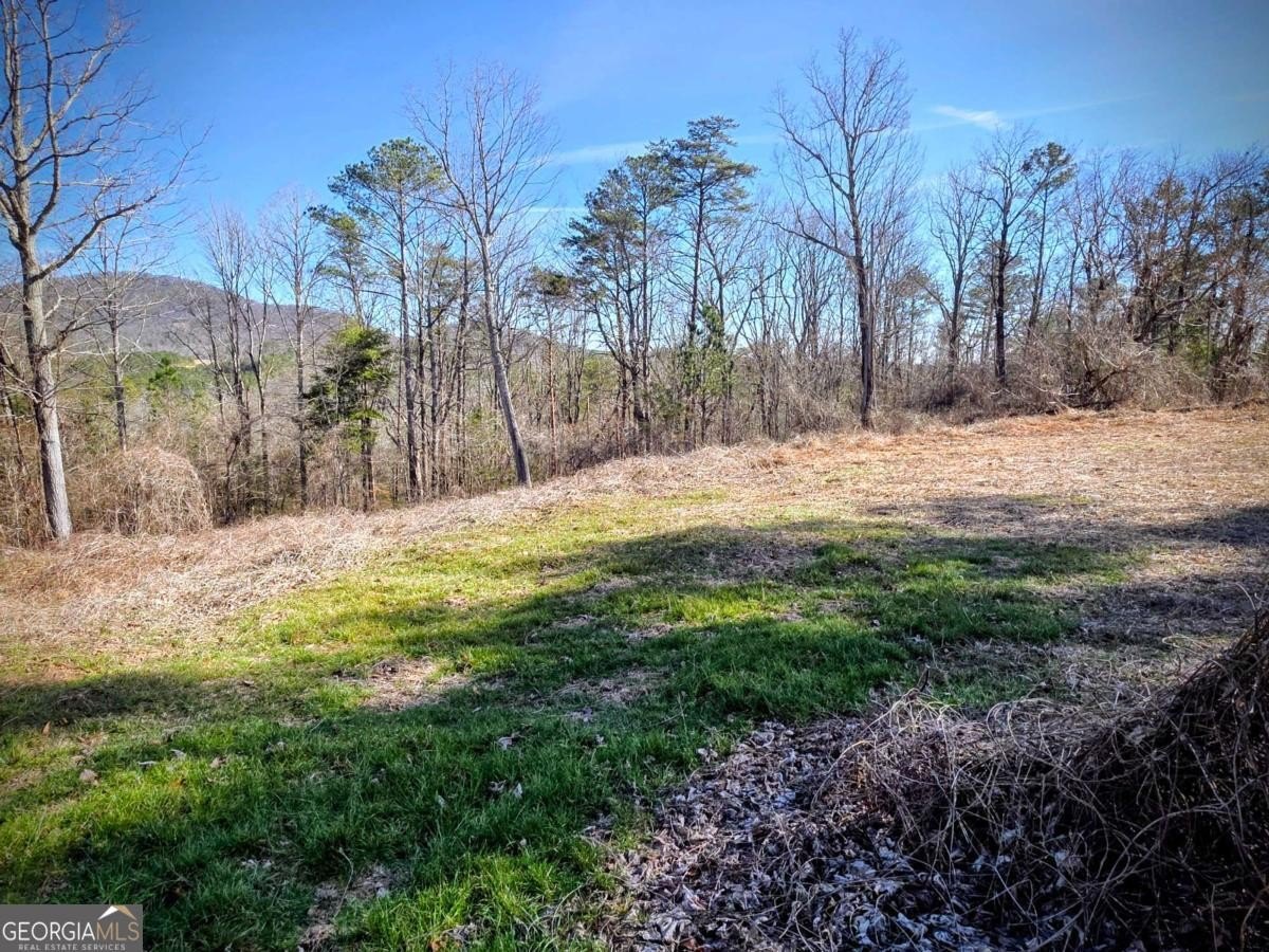 Scenic 5-Acre Tract in Jasper