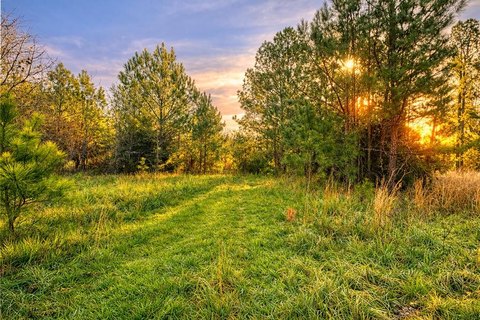 Unrestricted 49-Acre Tract with Creeks