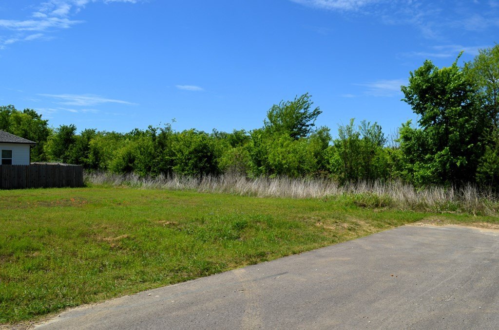 Picture 5