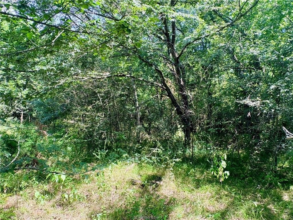 Picture 3