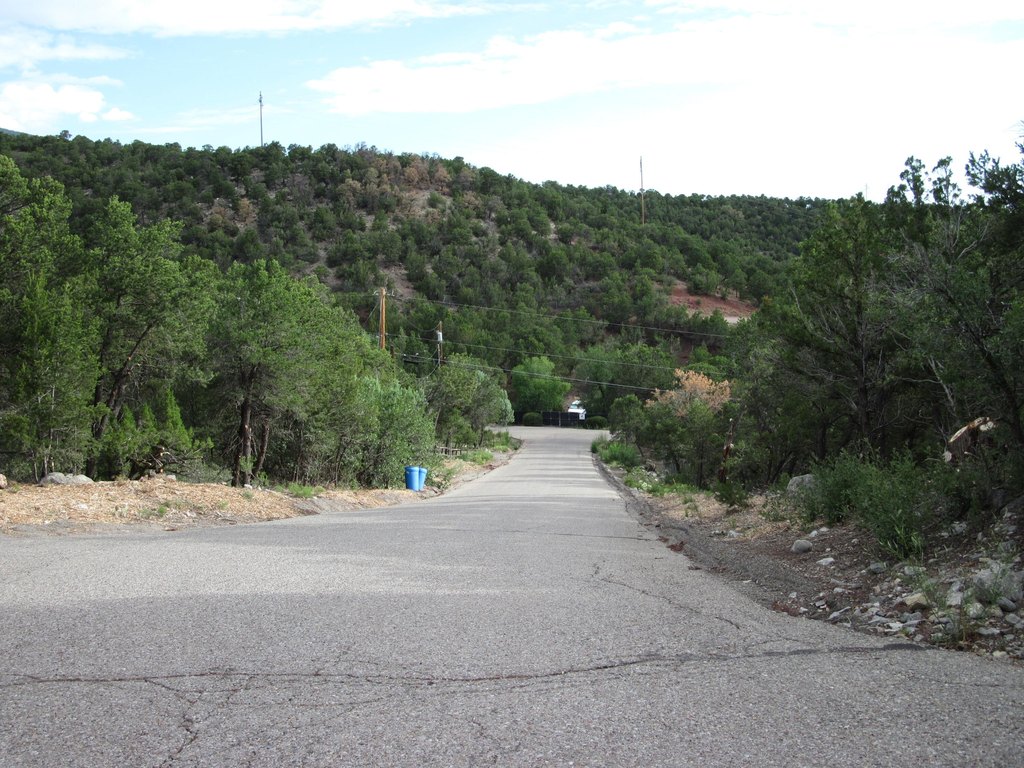 Picture 3