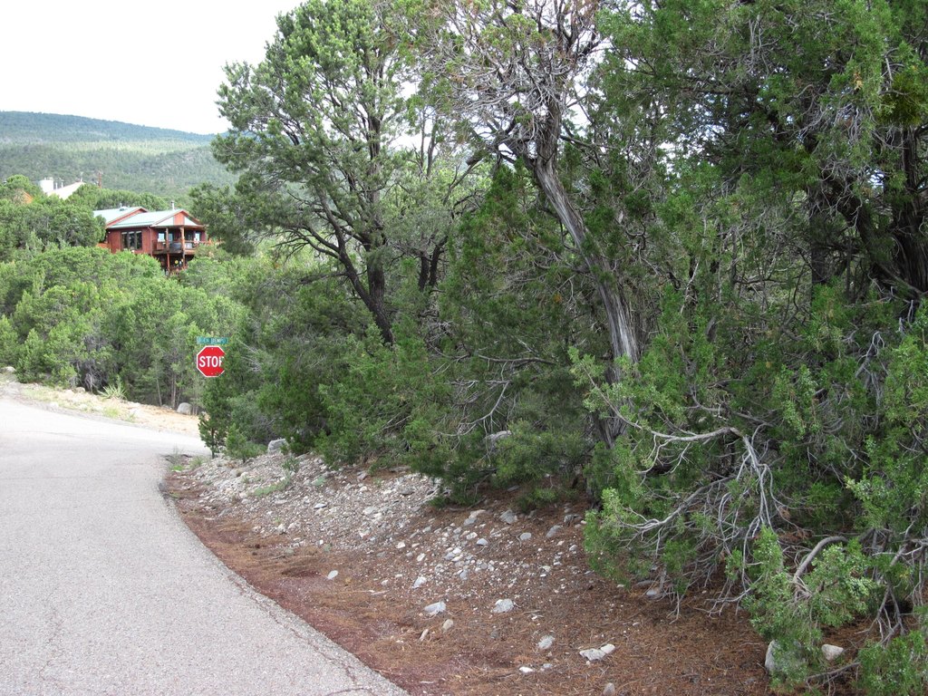 Picture 6