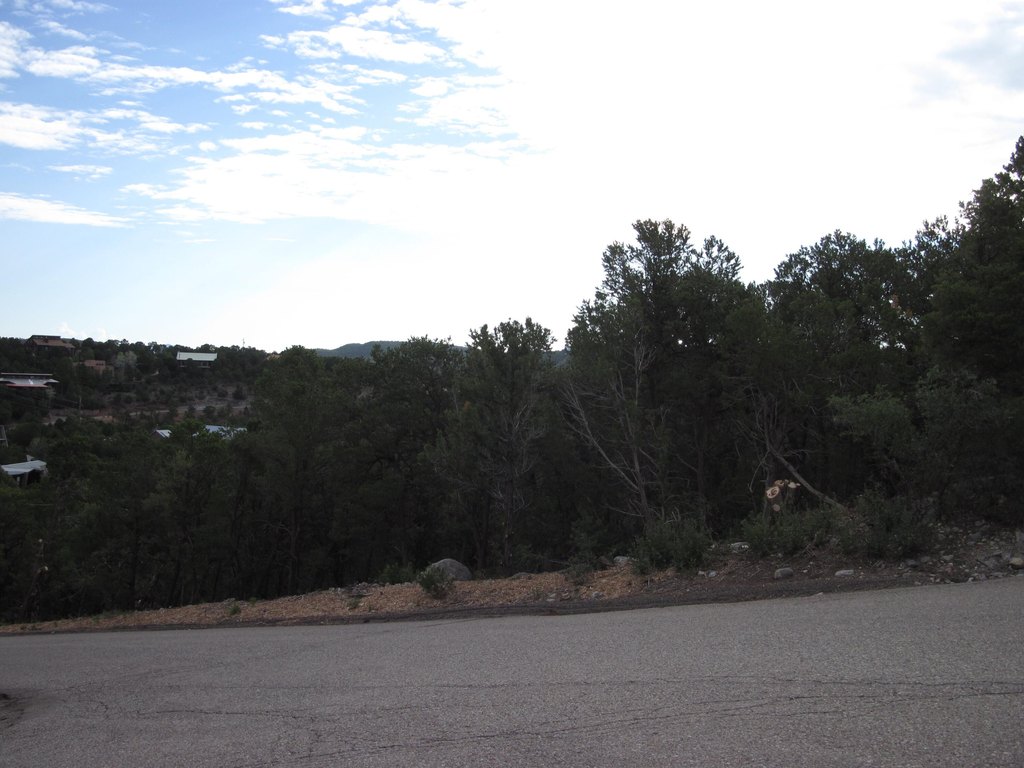Picture 8