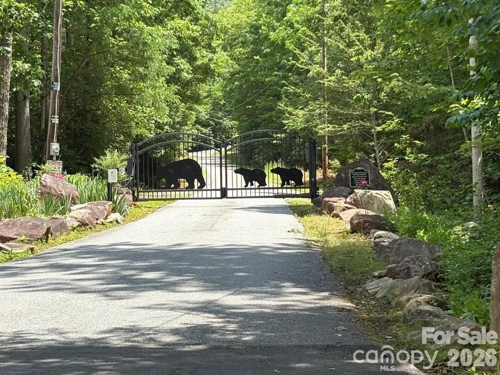 Picture 3
