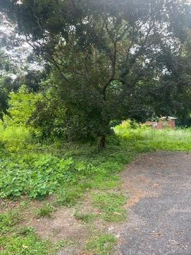 Land For Sale, Yonkers