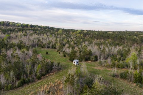 Hunting and Recreational Land