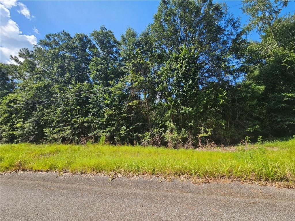 Residential Lot in Eight Mile