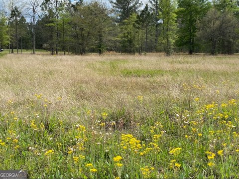 Residential Land in Fleming, Georgia