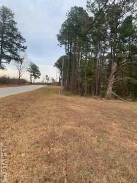 Three Acre Wooded Lot