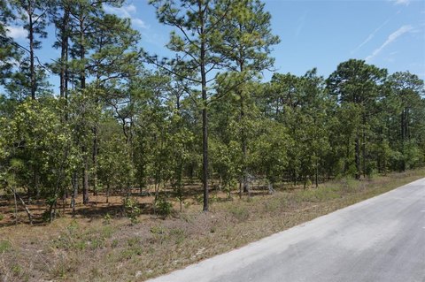 Acre Lot in Rainbow Lakes