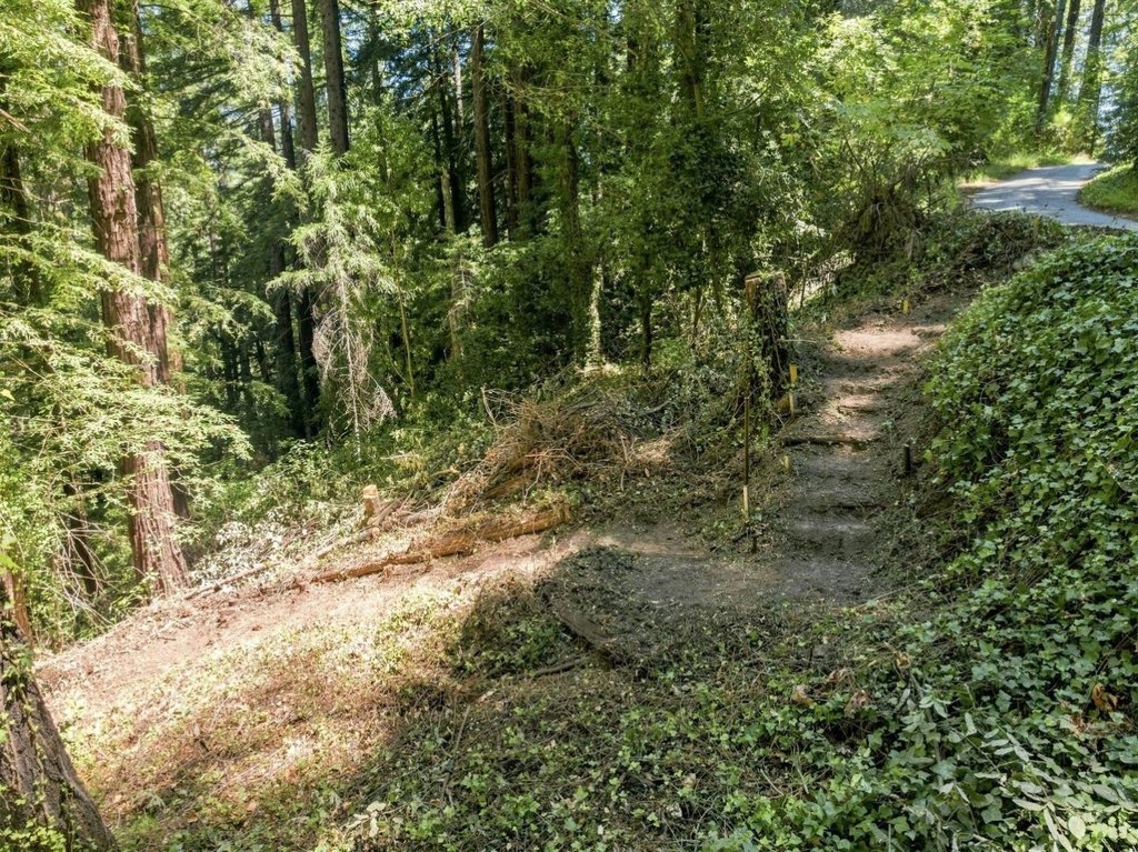 Picture 22