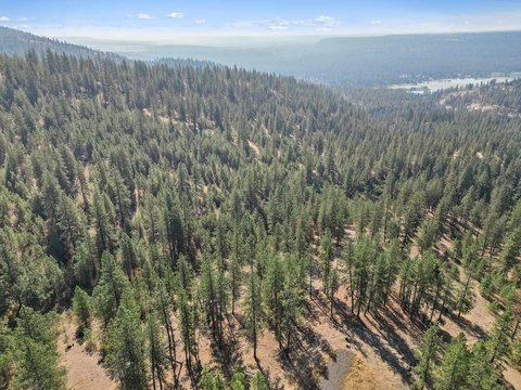 Forested Land Parcel in Deer Park