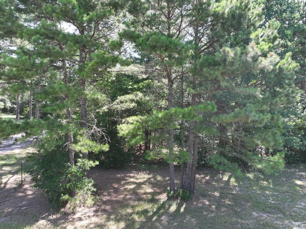 Picture 11