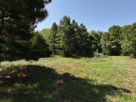 Land, Big Sandy, TX
