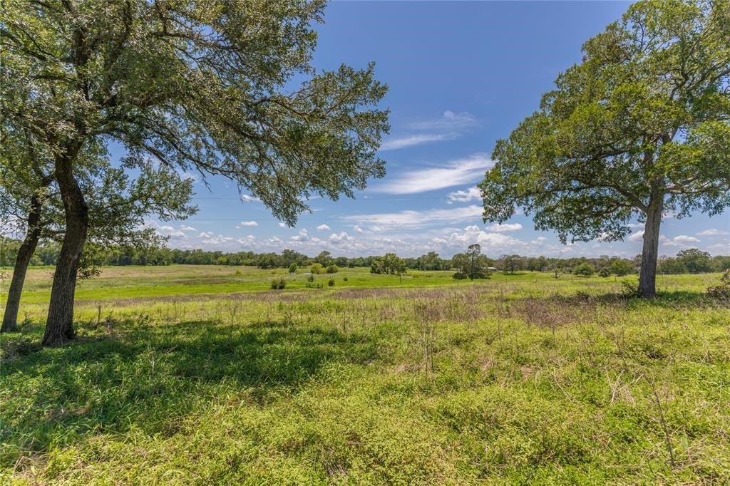 60.52 Acres in New Ulm