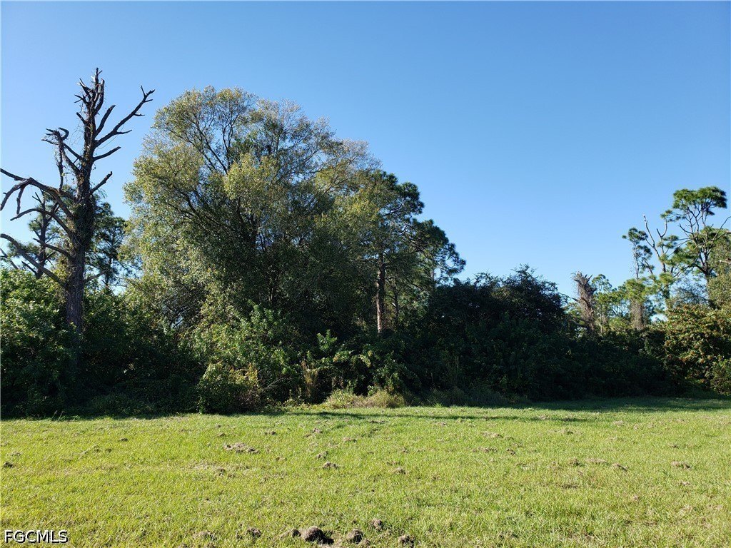 Picture 5